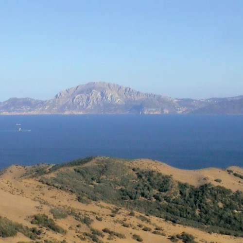 Andrei Caramitru critică lipsa intervenției Europei în Orientul Mijlociu