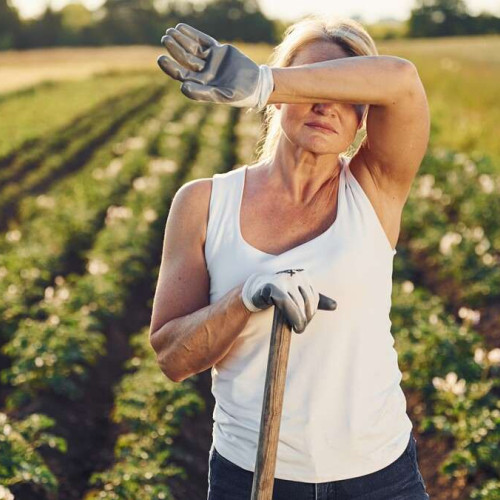 Cererile de plată APIA pentru 2026 pot fi depuse până pe 5 iunie