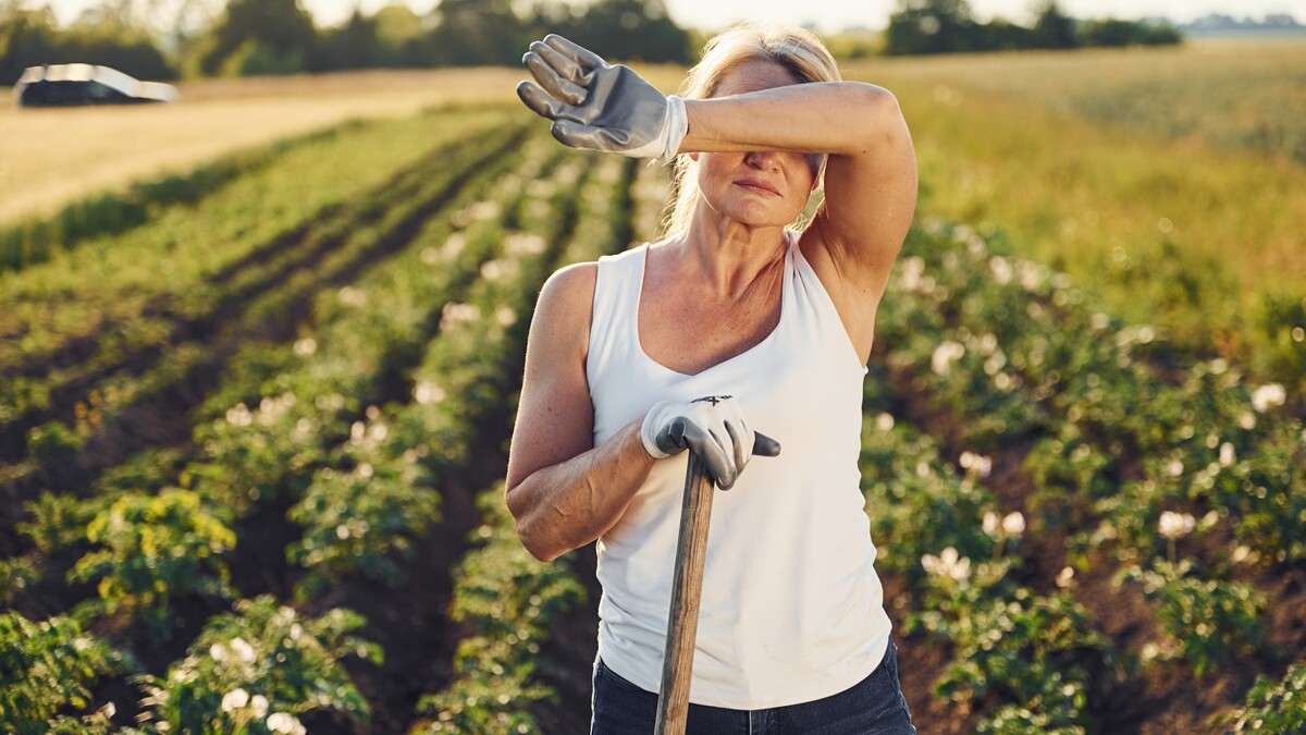 Cererile de plată APIA pentru 2026 pot fi depuse până pe 5 iunie