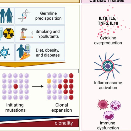 Chipul lipsă - Adevăruri fundamentale | Eric Topol