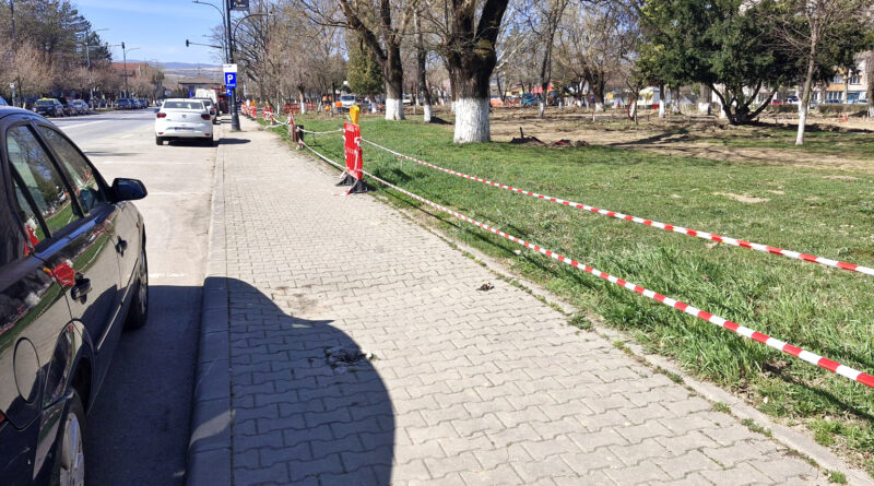 Scandal în Parcul Central din Hunedoara: Ordin de protecție solicitat