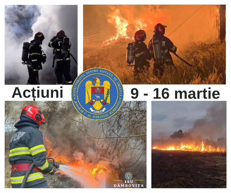 Echipajele ISU Dâmbovița au gestionat aproape 300 de situații de urgență