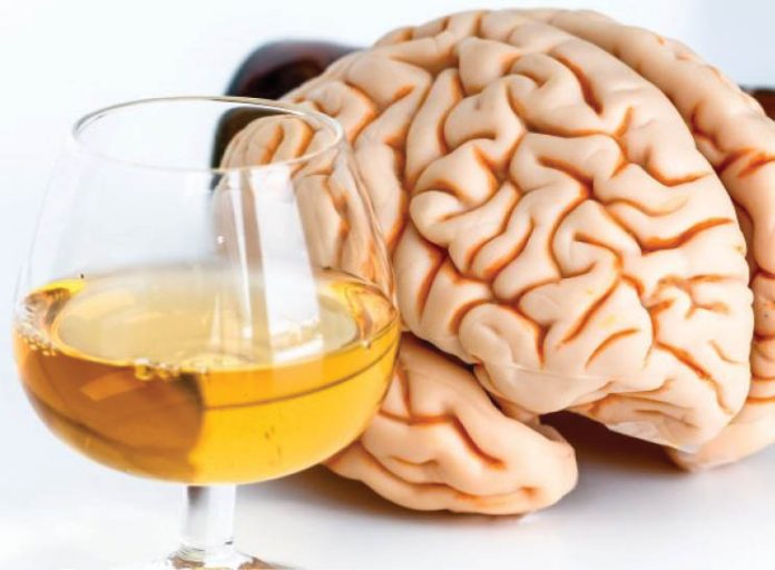 Un nou studiu dezvăluie impactul alcoolului asupra funcționării creierului