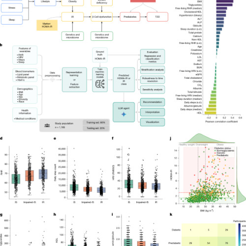 Predicția rezistenței la insulină folosind dispozitive purtabile și biomarkeri sanguini obișnuiți