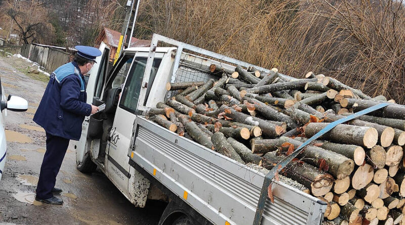 Acțiuni de prevenire a tăierilor ilegale de lemn, desfășurate de polițiști