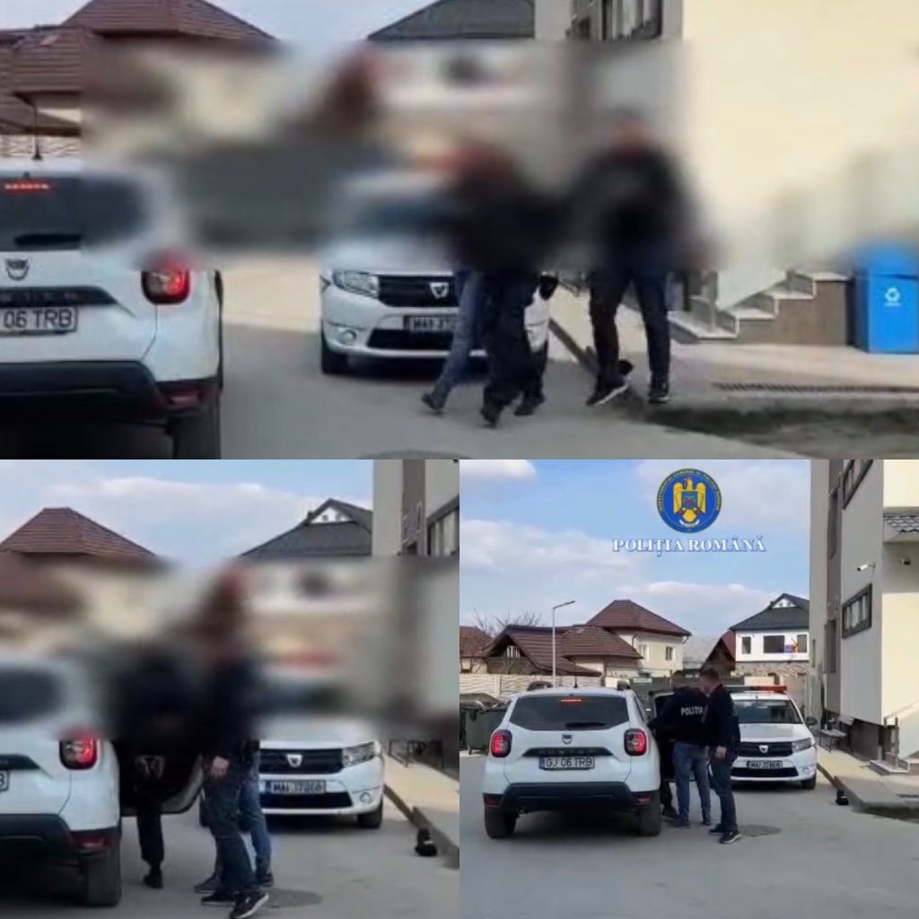 Bărbat din Târgu Jiu, reținut după provocarea unor incendii, cercetat în libertate