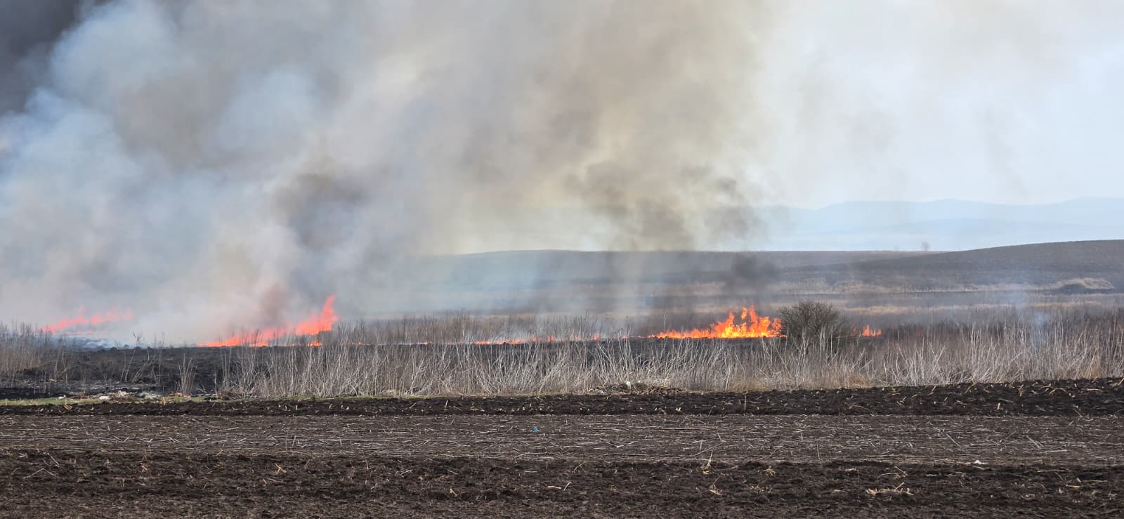 Incendii de vegetație în patru comune din Neamț