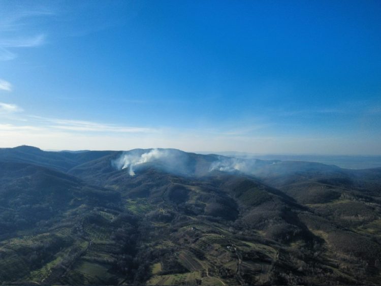 Incendiu de vegetație în Suciu de Sus, pompierii mobilizați