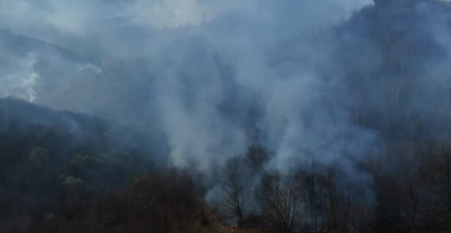 Incendiul de vegetație de la Suciu de Sus a fost stins dar zona rămâne monitorizată
