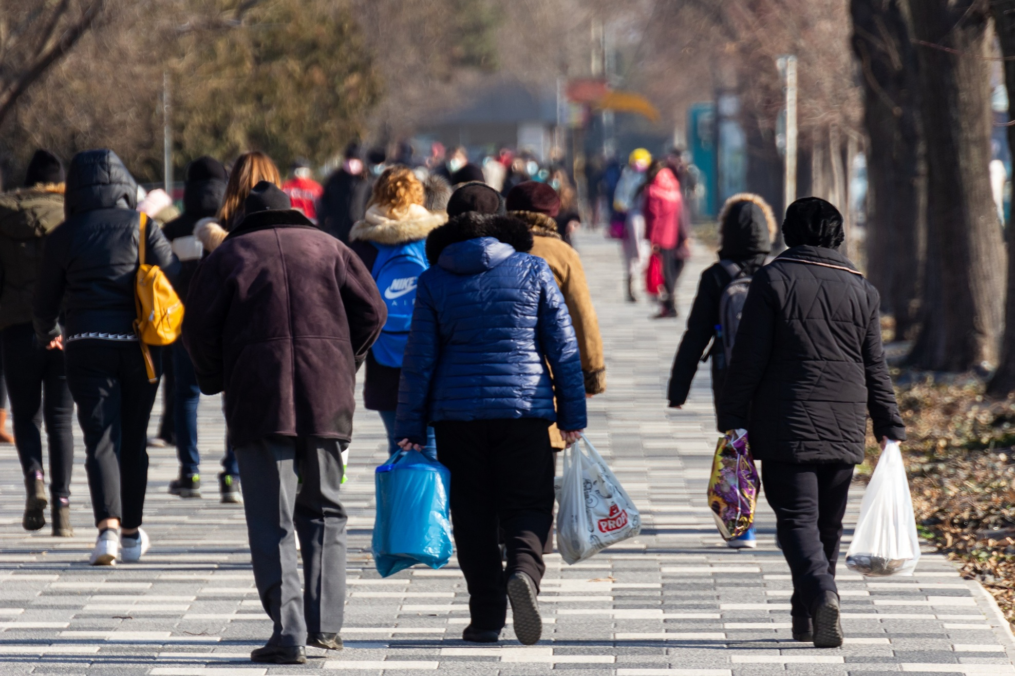 OCDE avertizează România: E nevoie de reforme majore în economia națională