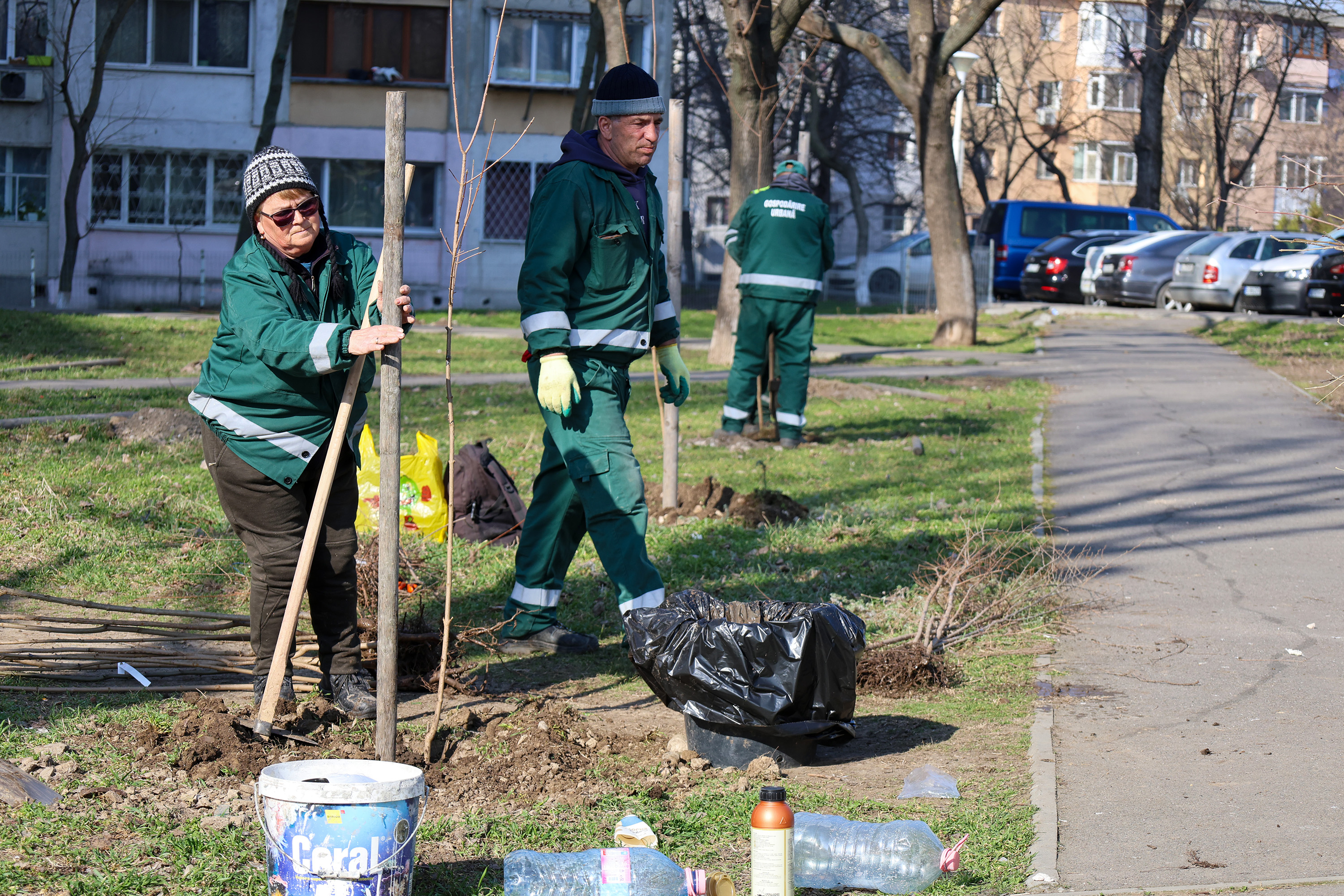 Galațiul plantează 1.500 de copaci în această primăvară
