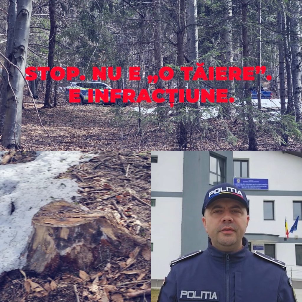 Acțiune în forță a polițiștilor din Novaci împotriva transporturilor ilegale de lemn