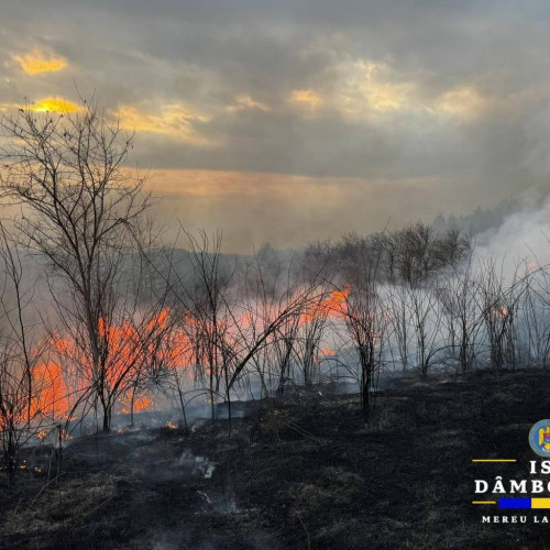 Incendiu de vegetație în Glodeni mobilizează pompierii din Dâmbovița