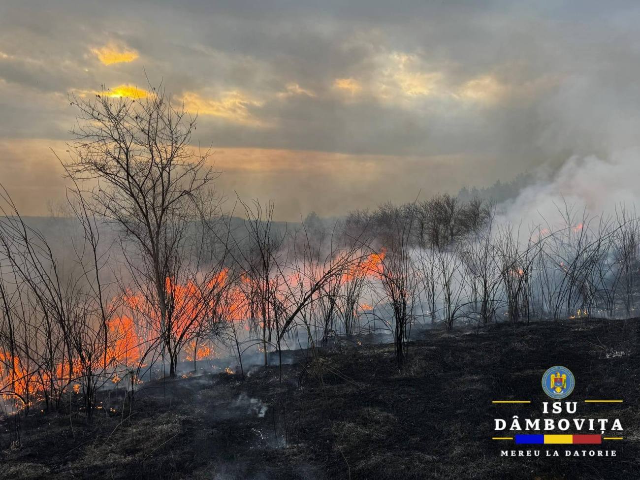 Incendiu de vegetație în Glodeni mobilizează pompierii din Dâmbovița