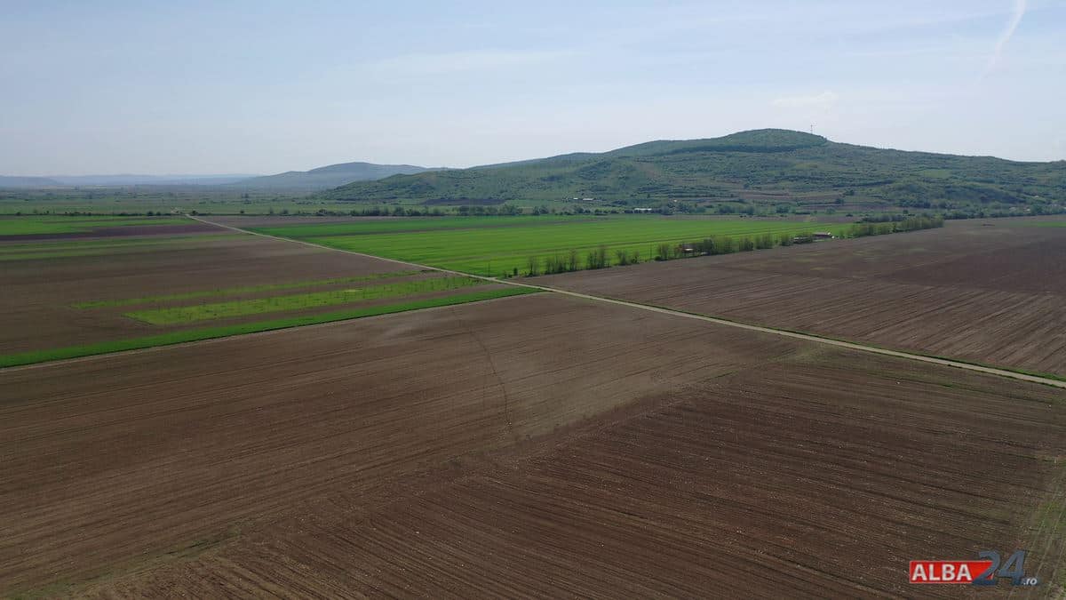 Finanțare nerambursabilă de până la 200.000 euro pentru tinerii fermieri