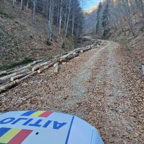 Poliția Alba a aplicat peste o sută de amenzi în urma unei acțiuni de verificare