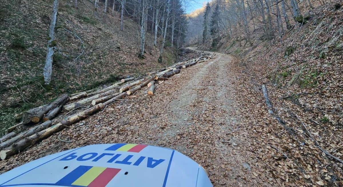 Poliția Alba a aplicat peste o sută de amenzi în urma unei acțiuni de verificare