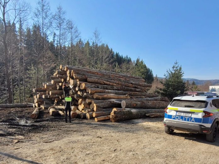 Acțiune a poliției în domeniul circulației materialelor lemnoase