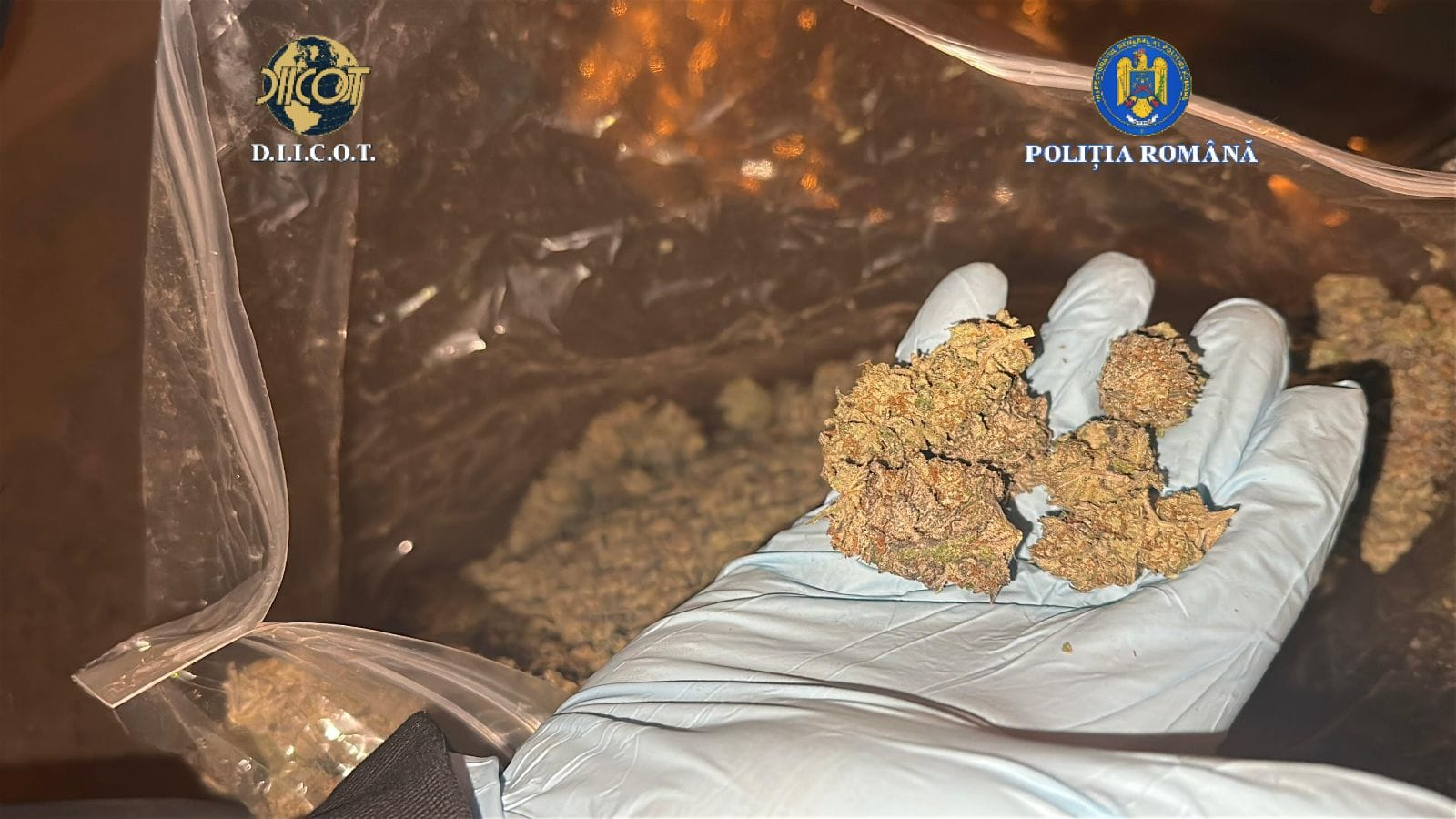 Gălățean arestat după interceptarea unui colet cu canabis destinat elevilor