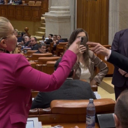 Polemica în Parlamentul României: Anamaria Gavrilă atacă o colegă din POT