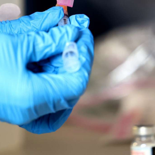 Răspândirea rujeolei: Teatre, școli, Kangaroo Zoo și acvariu, printre noile locații de expunere