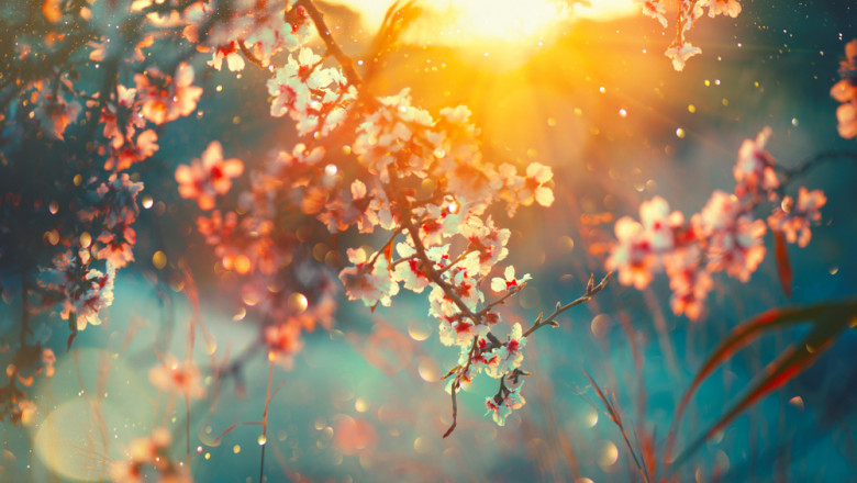 Proiecții meteorologice pentru aprilie: ploi abundente în unele regiuni