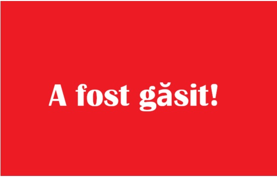 Un bărbat din Vișeu de Sus, găsit în Belgia după ce a fost dat dispărut
