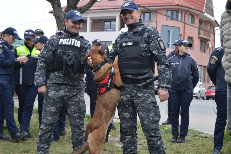 Poliția din Dej derulează acțiuni de verificare în școli și localuri