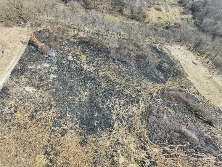 Incendiile ilegale continuă, avertizează Garda Națională de Mediu