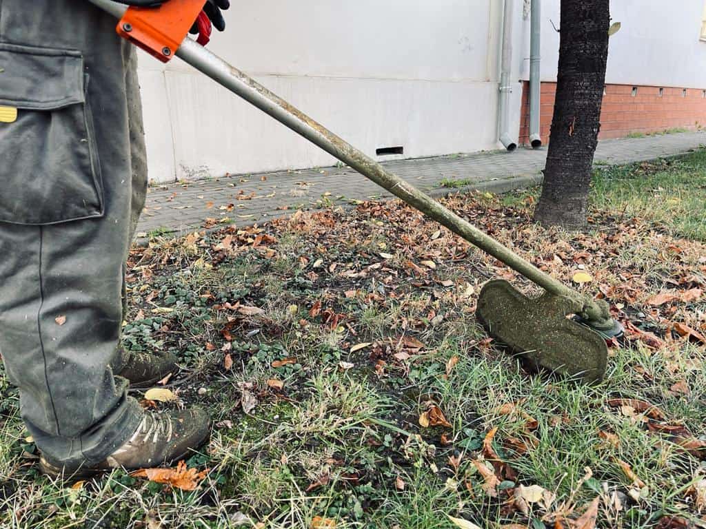 Colectarea deșeurilor vegetale în Sebeș continuă săptămânal