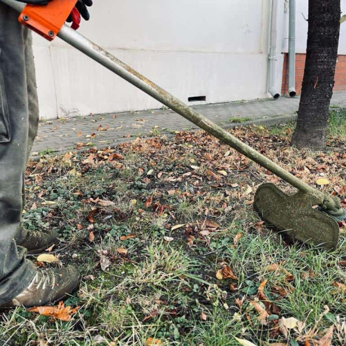 Colectarea deșeurilor vegetale în Sebeș continuă săptămânal