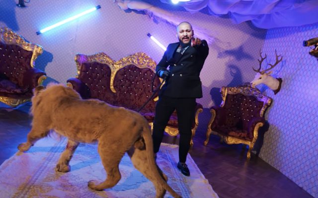 Dani Mocanu și fratele său, aduși în țară pentru executarea pedepsei