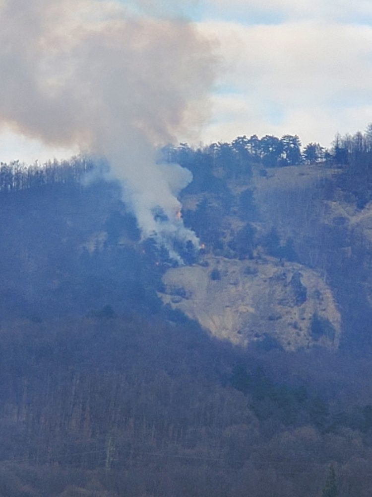 Incendiu de vegetație în Baia Sprie, echipaje de intervenție mobilizate rapid