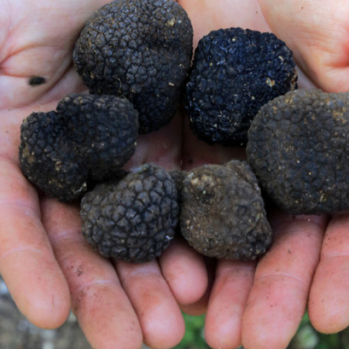 Comisarii Gărzii de Mediu aplică amenzi de aproape 1,8 milioane lei pentru nereguli