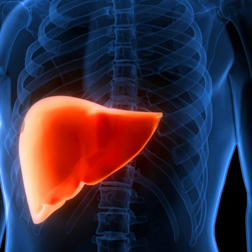 Compușii canabisului pot inversa boala hepatică grasă, sugerează un studiu