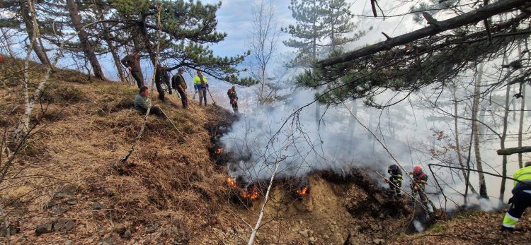 Incendiu de vegetație în zona Lacului Albastru din Baia Sprie