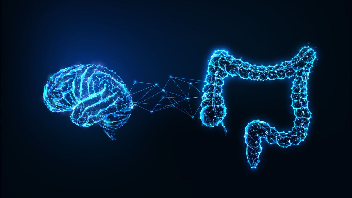 Legătura dintre intestin și creier poate oferi o nouă metodă de combatere a declinului cognitiv