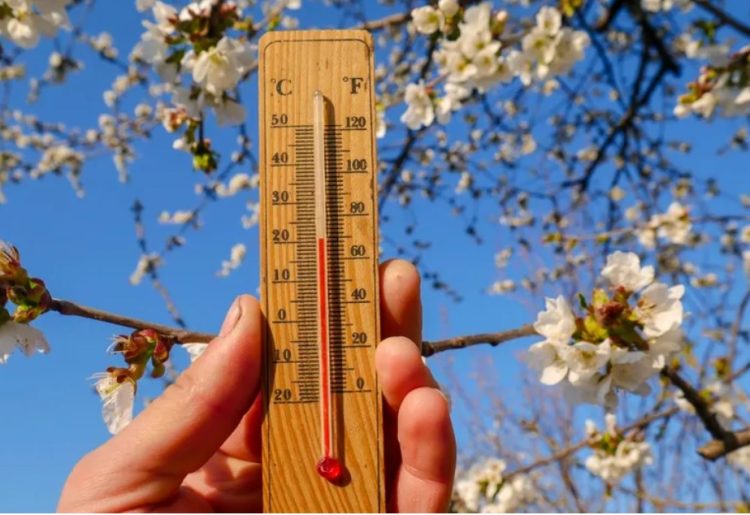 Prognoza ANM: Cum va fi vremea în aprilie în România