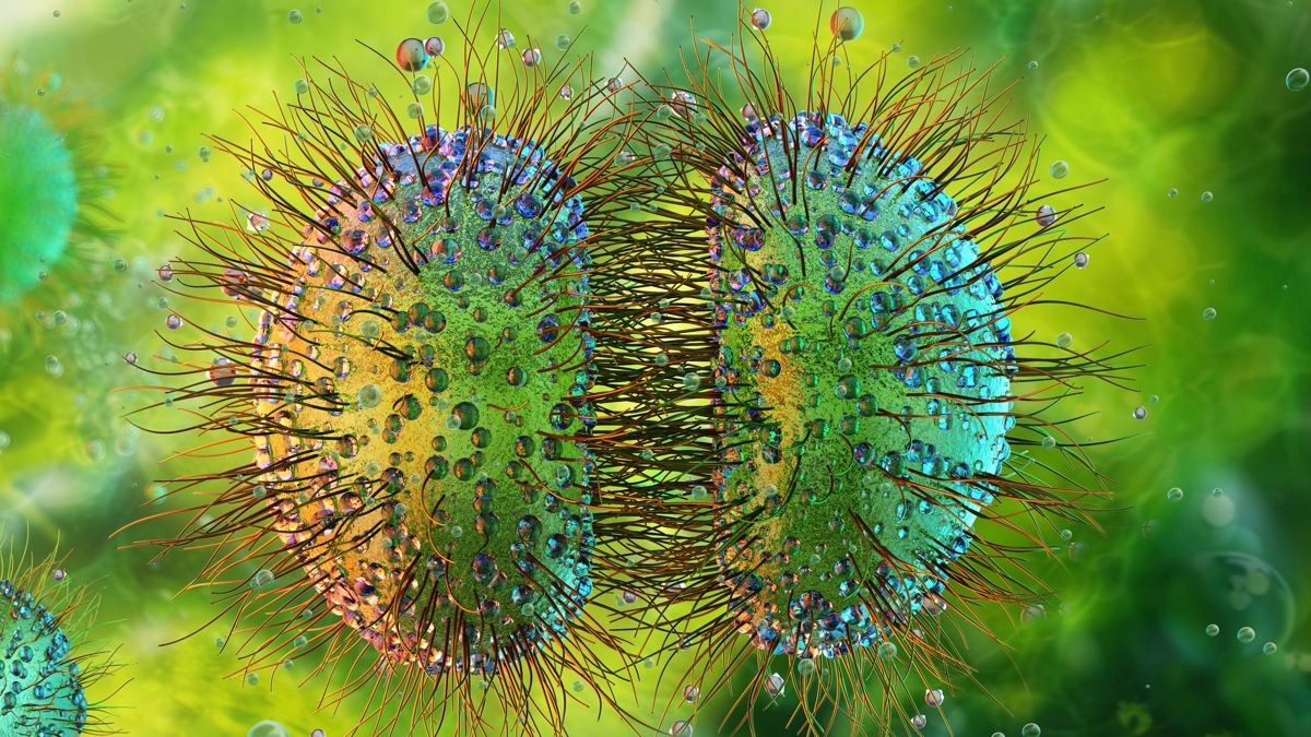 „Fără precedent” – Epidemie de meningită în UK se extinde la 27 de cazuri