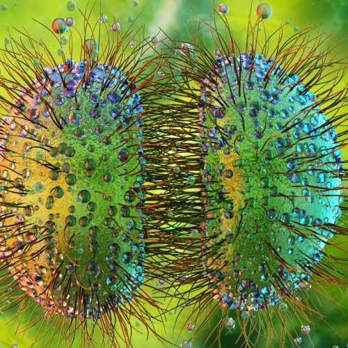 'Unprecedented' Meningitis Outbreak in UK Spreads to 27 Cases - ScienceAlert