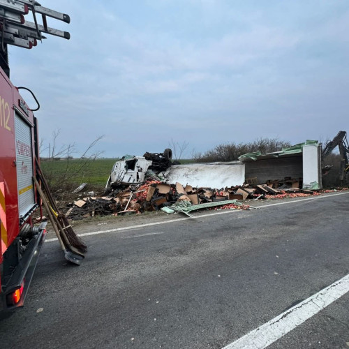 Accident fatal în Satu Mare: un tânăr de 28 de ani a murit într-o coliziune