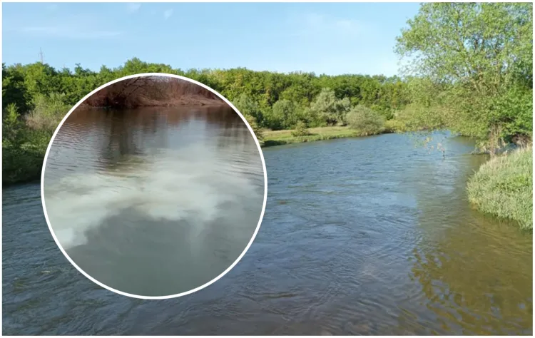 Acuzații de poluare gravă în județul Cluj, lângă Dej