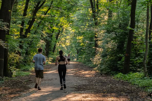 Pădurea Băneasa: Un nou proiect pentru conservarea biodiversității