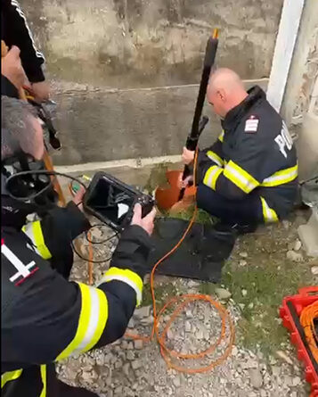 Pompierii din Deva salvează doi cățeluși căzuți într-o conductă de canalizare