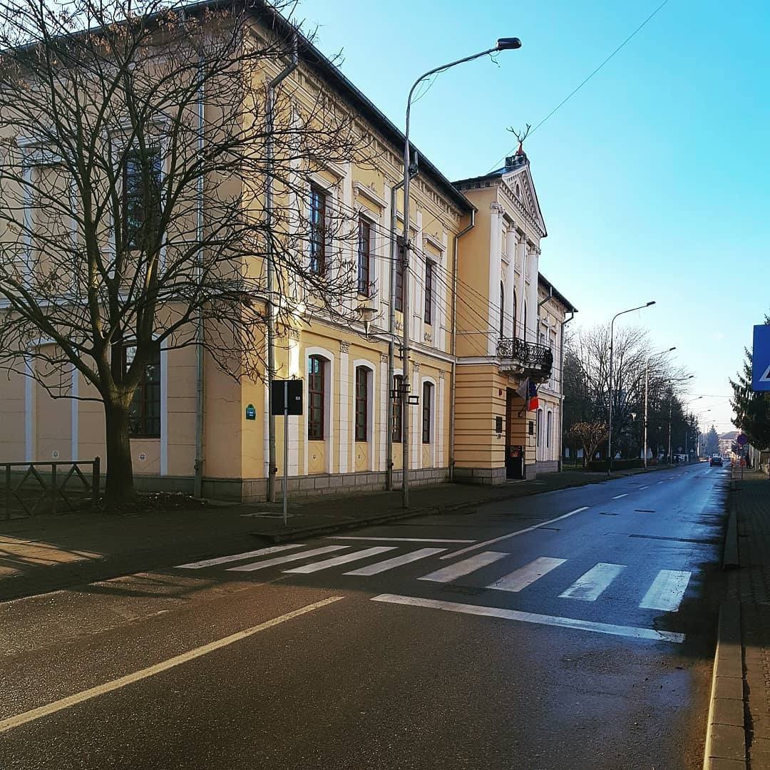 Firmele au la dispoziție câteva zile pentru ofertarea lucrărilor la muzeu