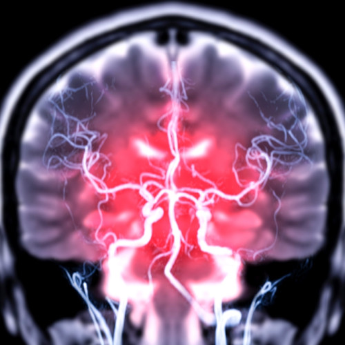 Bacteriile intestinale ar putea pătrunde direct în creier, arată un studiu pe șoareci