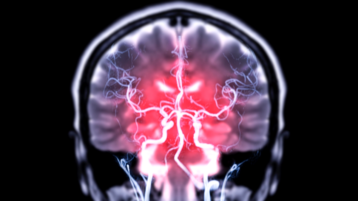 Bacteriile intestinale ar putea pătrunde direct în creier, arată un studiu pe șoareci