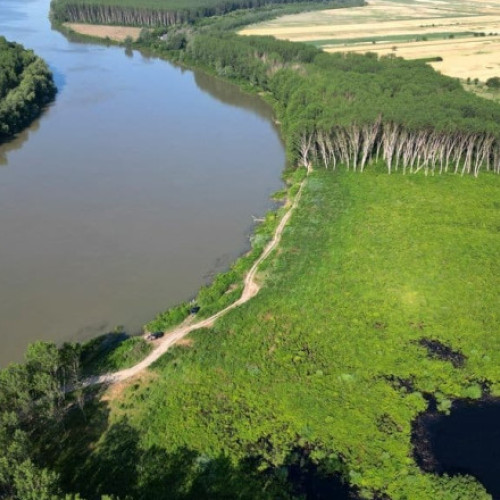 Închidere temporară a navigației pe brațul Măcin al Dunării