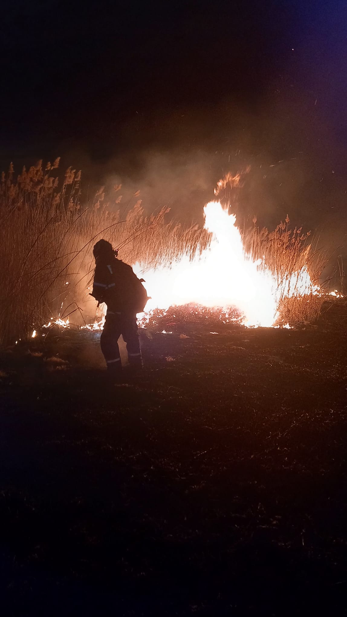 Incendiile de vegetație uscată pot costa scump! Află amenzile!