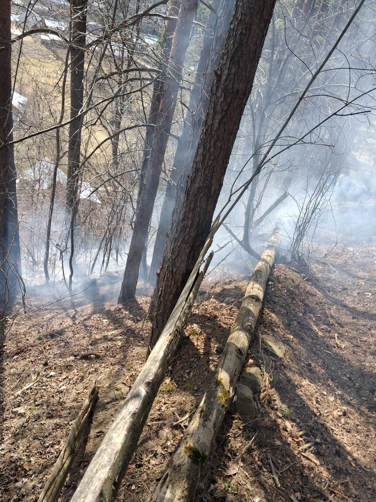 Incendii periculoase în Neamț: Pompierii intervin pentru lichidarea focarelor